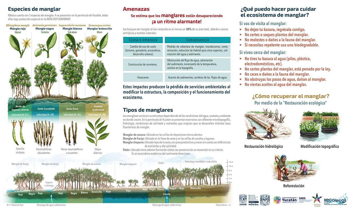 Amenazas a la selva baja