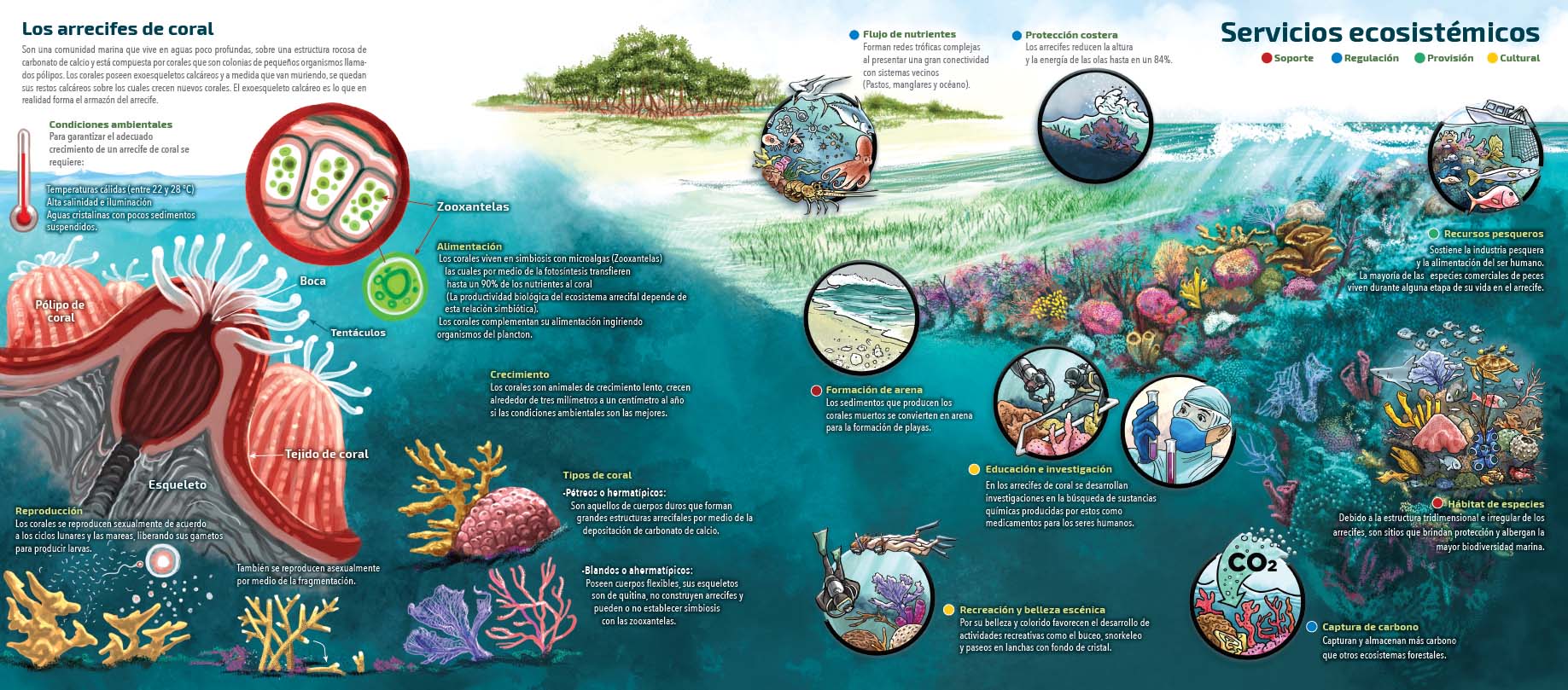 Servicios ecosistemicos arrecifes