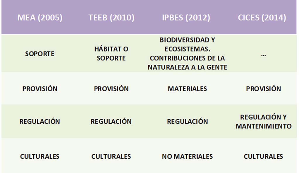 clasificacion MEA