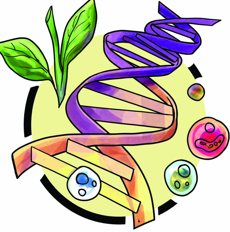 recursos-geneticos